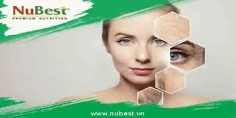 Giải pháp làm chậm lão hóa da hiệu quả